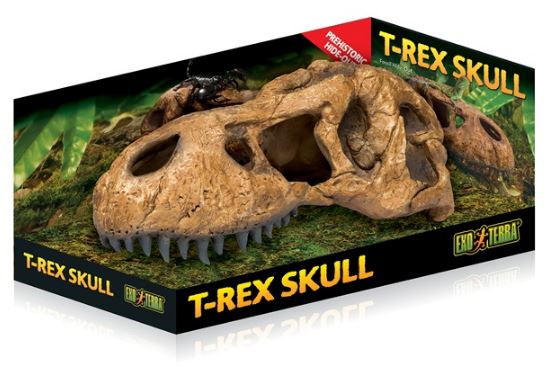 Exo Terra T-Rex Skull Fossil Hide Out – מסתור בעיצוב גולגולת פרהיסטורית