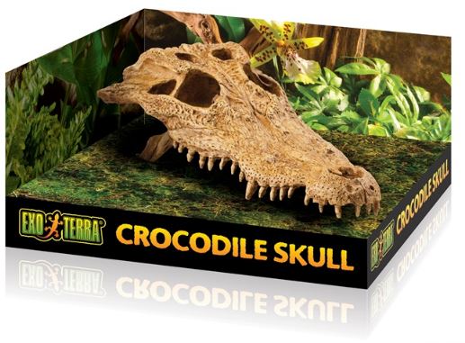Exo Terra Crocodile Skull Hide Out – מסתור בעיצוב גולגולת קרוקודיל