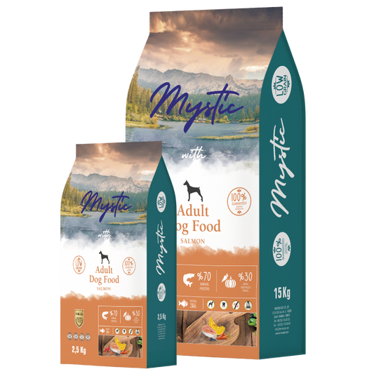 Mystic - Adult dog food : Salmon | מזון יבש לכלב בוגר על בסיס סלמון 2.5 ק״ג