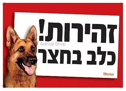 שלט זהירות כלב בחצר